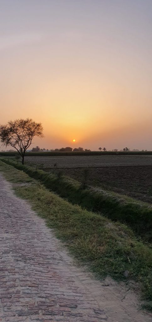 Countryside Amazing sunset view Lodhran Pakistan.