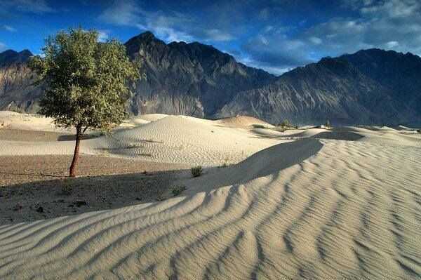 Nestled amidst the towering peaks of the Karakoram Range in Pakistan lies a mesmerizing and unexpected sight: the Katpana Desert.