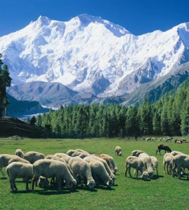 Nanga Parbat, also known as the "Killer Mountain," is one of the most beautiful and awe-inspiring peaks in the world.